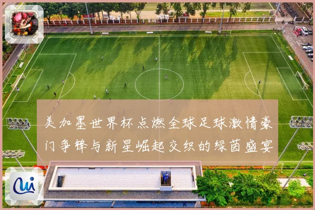 美加墨世界杯点燃全球足球激情豪门争锋与新星崛起交织的绿茵盛宴